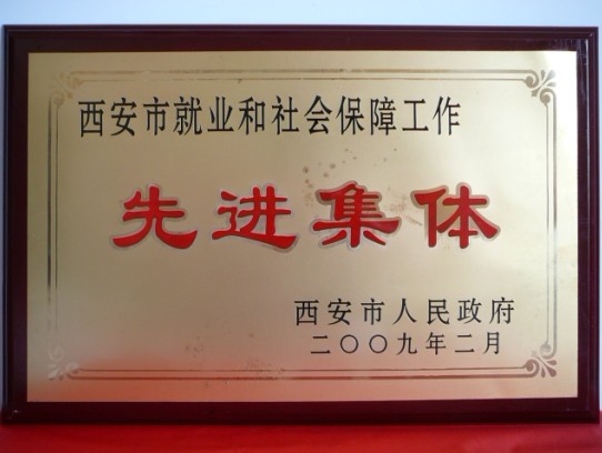 2009年2月，被西安市政府評為西安市就業(yè)和社會保障工作先進集體