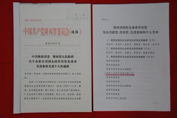 2009年2月，被陜西省委、省政府授予陜西省國有企業(yè)改革攻堅先進集體